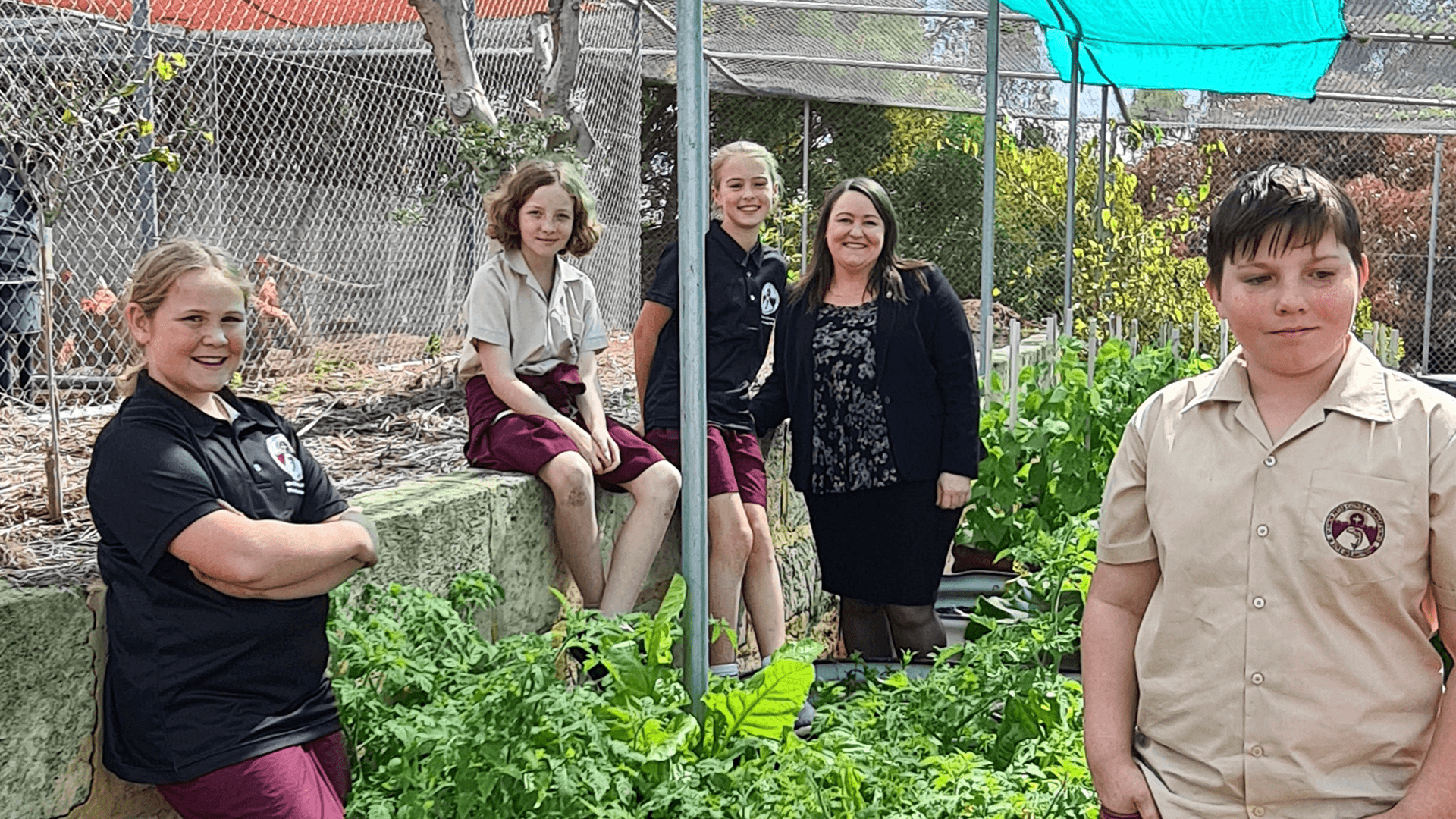 Emily Hamilton: St Simon Peter Catholic Primary School Announcement  Main Image