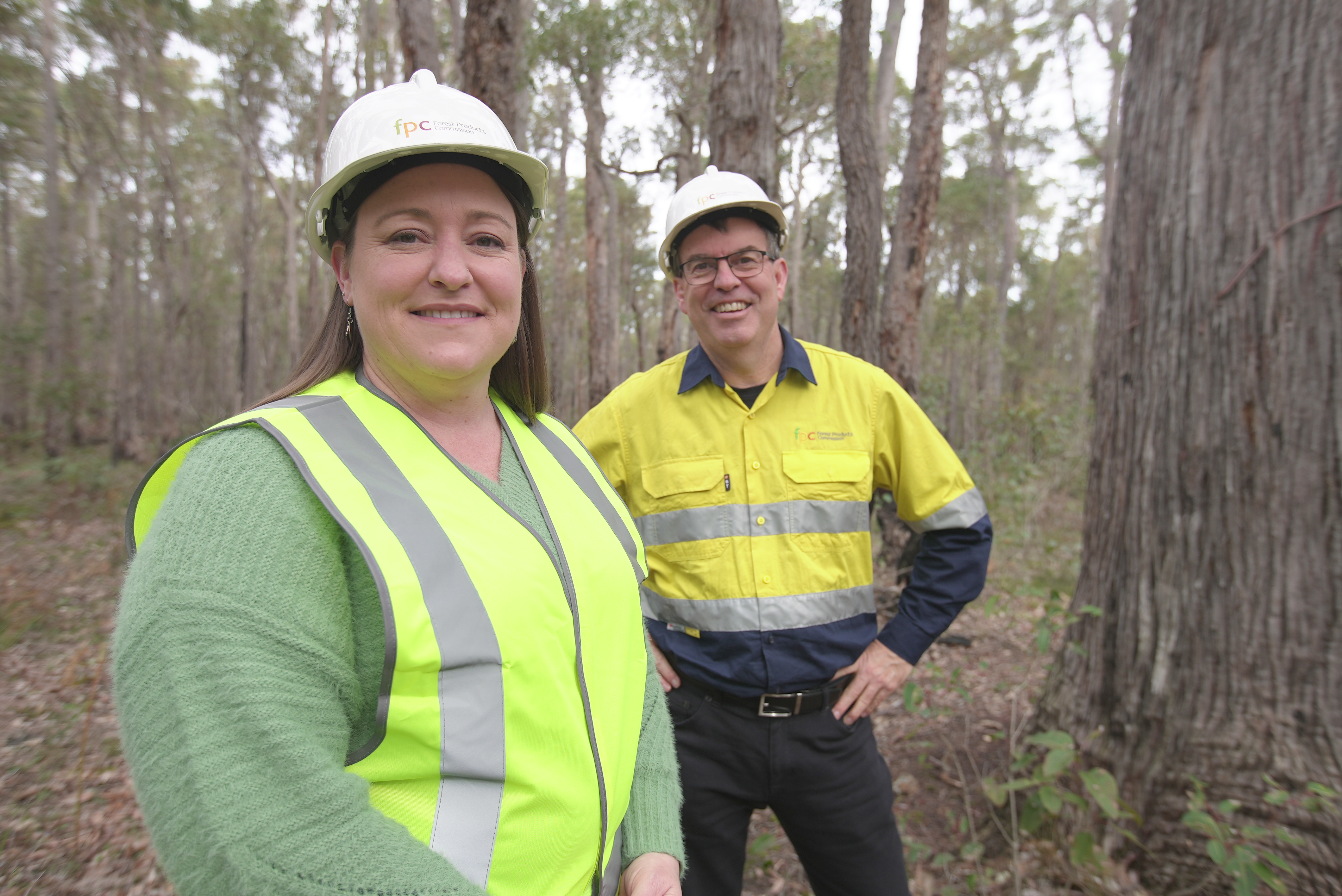 Trees and pocket forests in Joondalup Main Image